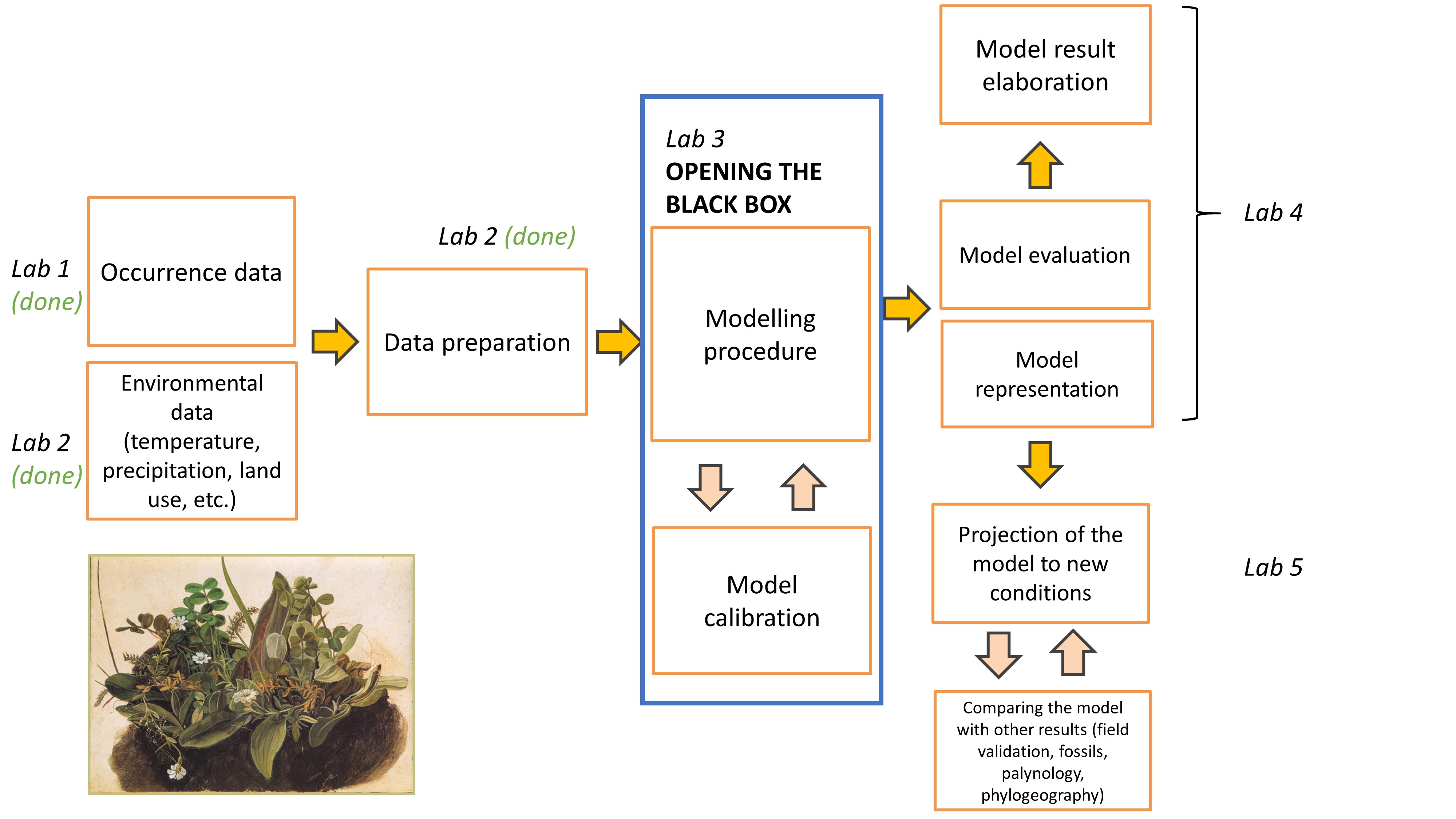 Model Idea Lab Plan Matic Jančič: Teaching portfolio - MODELING ALGORITHMS AND MODEL FITTING